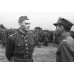 Пуговица Войска Польского, обр. 1943 г., Вариант А, диаметр 22 мм., Хаки.